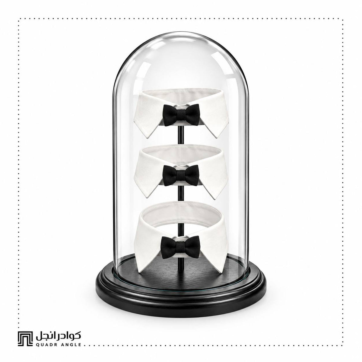 Black Tie Dome Display